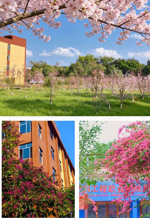 美在工程 | 这所学校的颜值，真的很beauty，藏不住了!