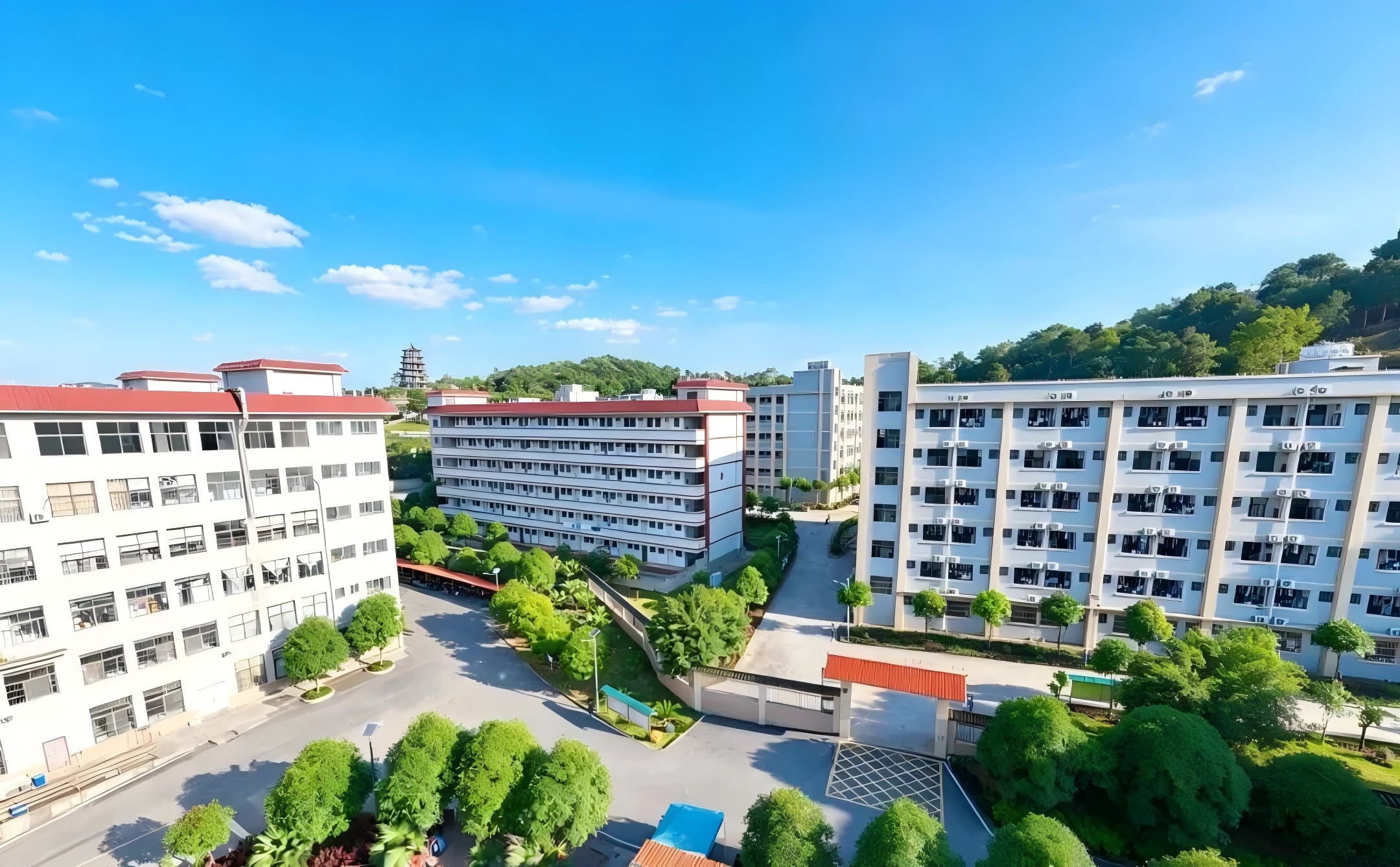 安居筑梦，悦享韶华——这才是大学生梦中公寓
