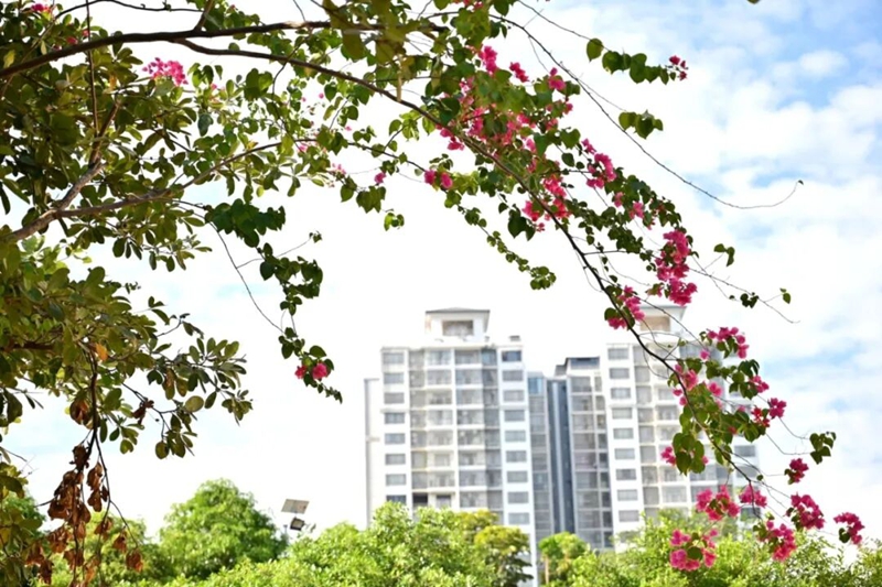 节气•霜降 | 霜凝秋暮，序启冬章——广工程院邀你共赏校园秋色